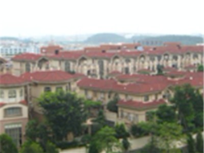 广州雅居乐