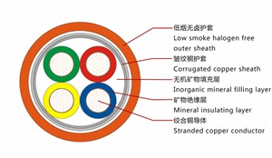 一带一路沿线国家光伏分析：沙特阿拉伯