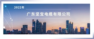 电线电缆产品质量国家监督抽查实施细则（2022年版）